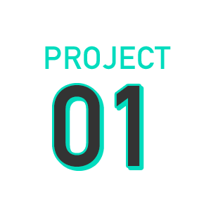 PROJECT01
